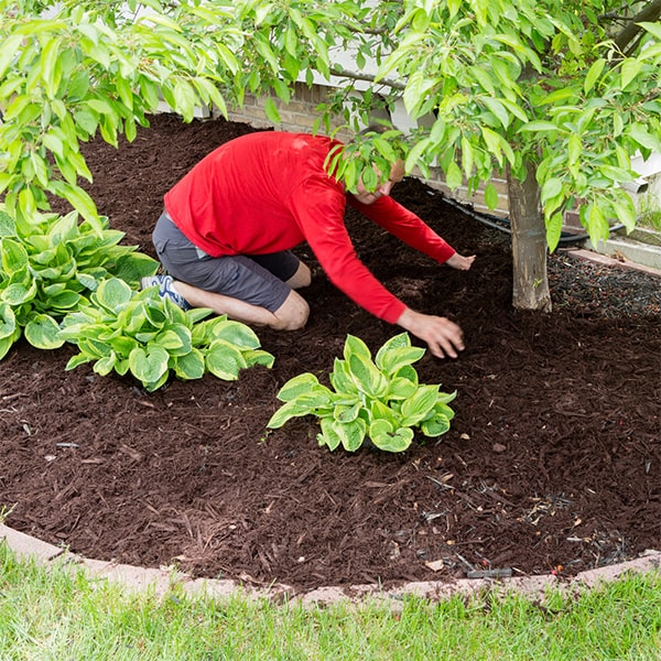 the time it takes to complete mulch installation varies depending on the size of the area being covered